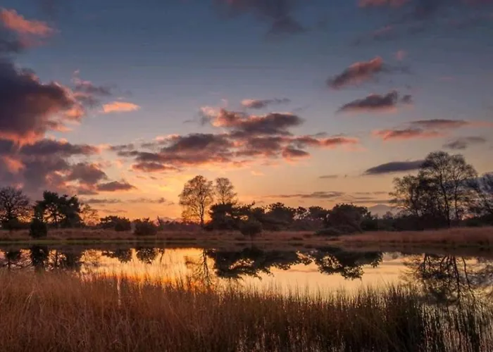 2 -3 Persoons Chalet In Bosrijk Park Kempenbos-duc De Brabant Chalet *