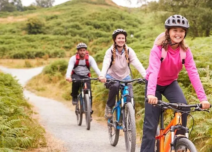 2 -3 Persoons Chalet In Bosrijk Park Kempenbos-duc De Brabant *