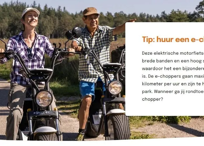 Chalet 2 -3 Persoons Chalet In Bosrijk Park Kempenbos-duc De Brabant *