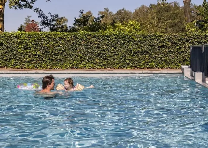 2 -3 Persoons Chalet In Bosrijk Park Kempenbos-duc De Brabant Diessen