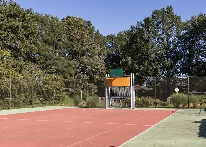 2 -3 Persoons Chalet In Bosrijk Park Kempenbos-duc De Brabant Diessen